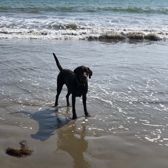 Meet your Posher, Mary Catherine - Picture 2 of 4